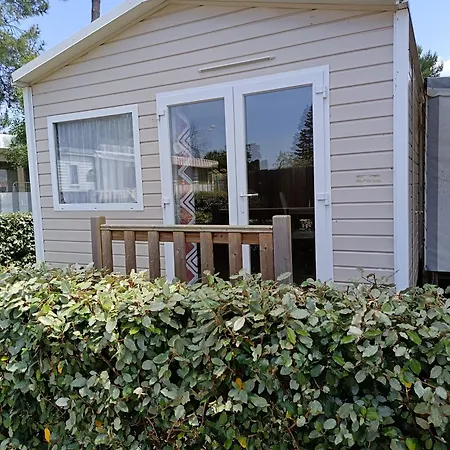 Mh 805 Bois Dormant *