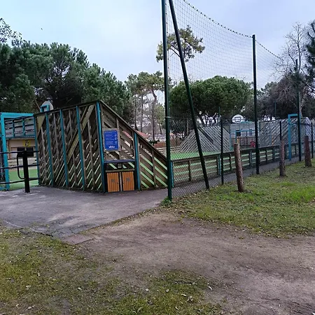 Mh 805 Bois Dormant Saint-Jean-de-Monts