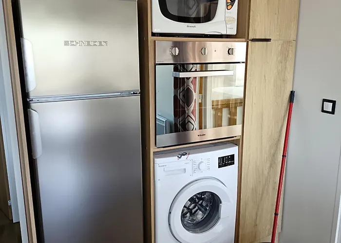 Mh 805 Bois Dormant Saint-Jean-de-Monts