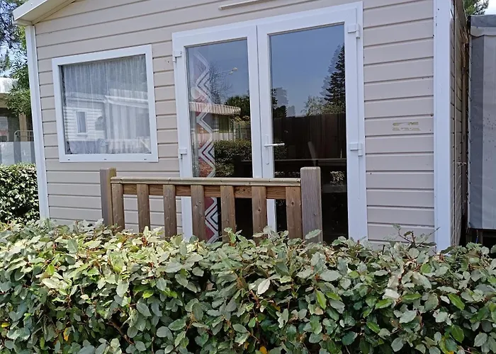 Mh 805 Bois Dormant *