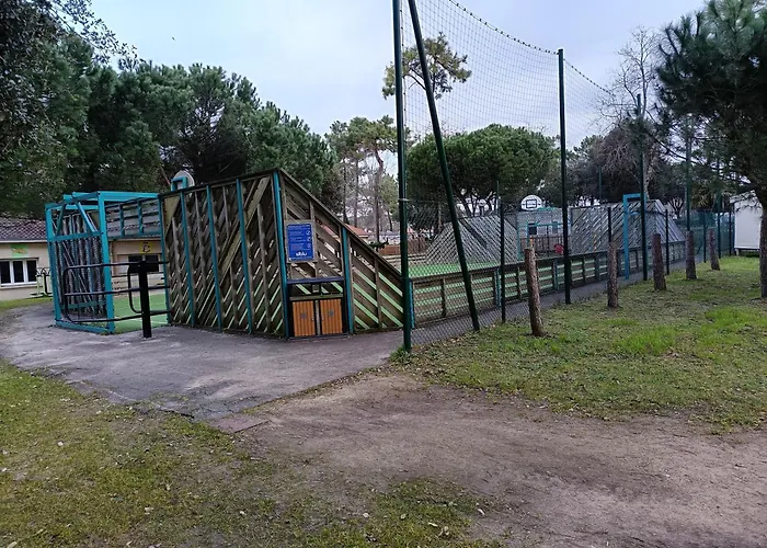 Mh 805 Bois Dormant Saint-Jean-de-Monts